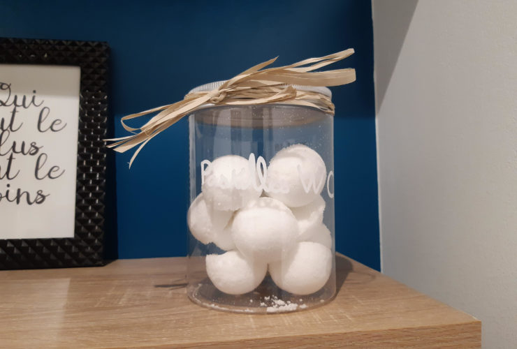 recette pastilles WC