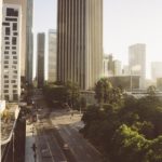 arbres dans les villes