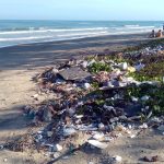 des déchets plastiques sur une plage